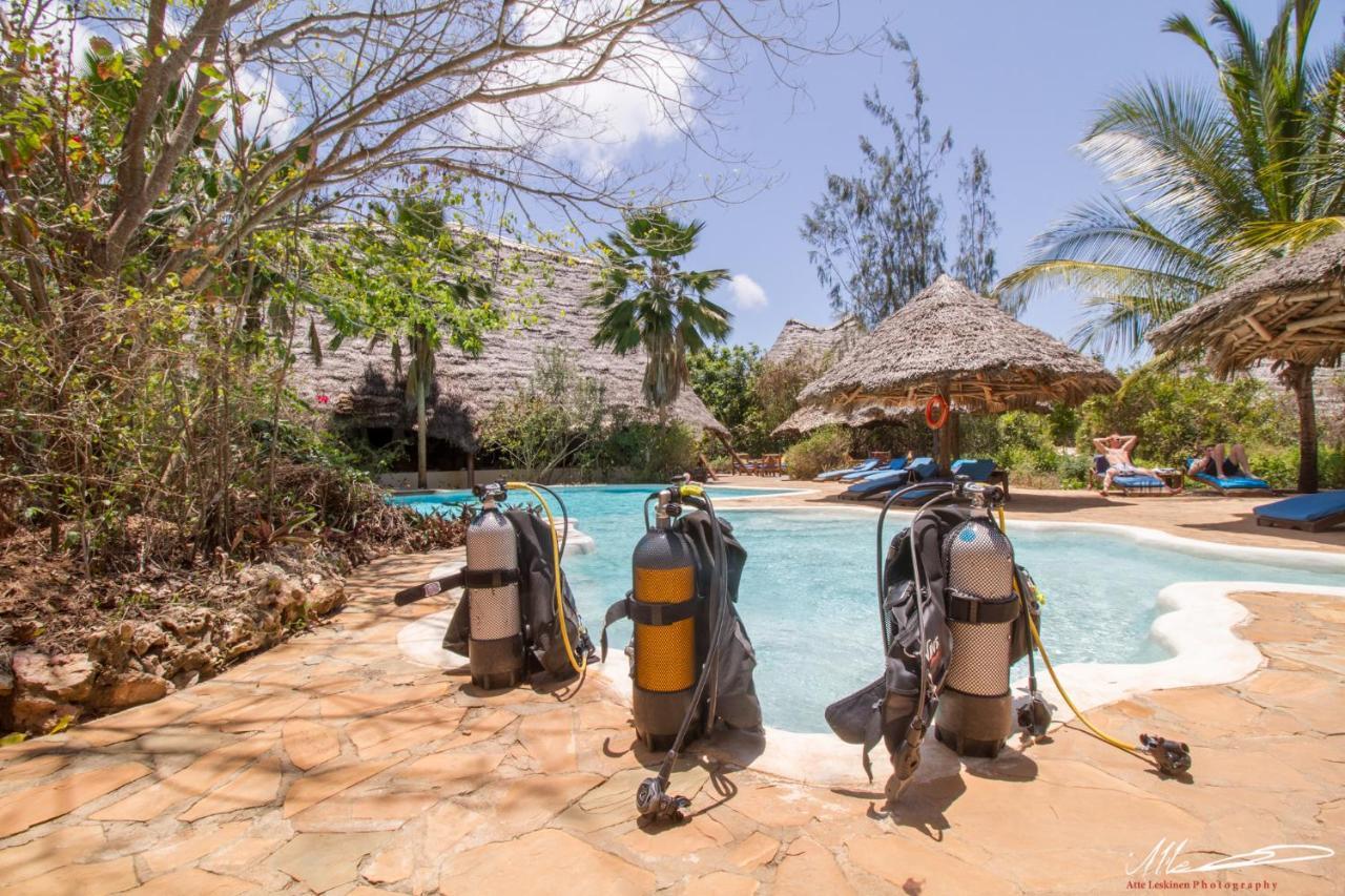 Unguja Lodge Kizimkazi Extérieur photo